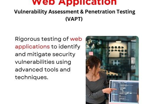 Cybersecurity Package Example: Web & API VAPT for FinTech SaaS