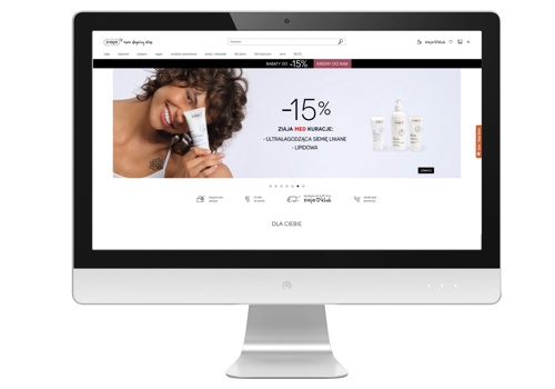 Ecommerce Marketing Package Example: E-Commerce strategic development