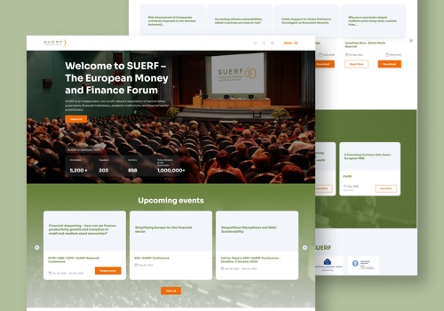 Web Design Package Example: Suerf – Web design and web development