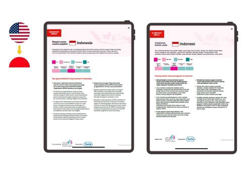 Translation Package Example: Case Study: Crowell & Moring International