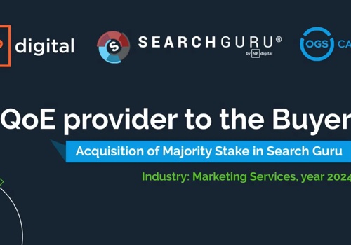 Business Consulting Package Example: Quality of Earnings Report to Marketing Firm