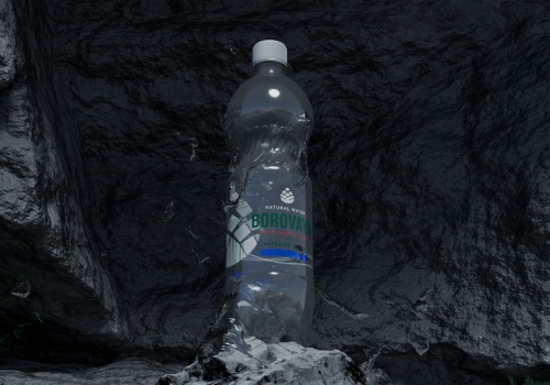 Branding Package Example: BOROVAYA