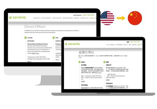 Translation Package Example: Case Study: Savaria