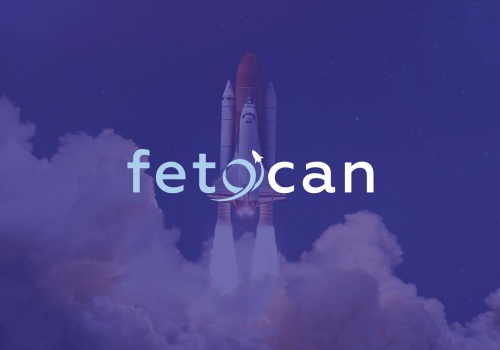 Branding Package Example: Fetocan | Branding