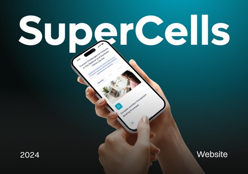 IT Strategy Consulting Package Example: SuperCells Medical & Aesthetic Booking Platform