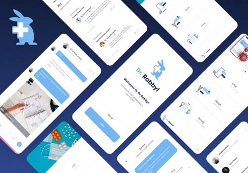 Mobile App Development Package Example: Dr Rabbyt