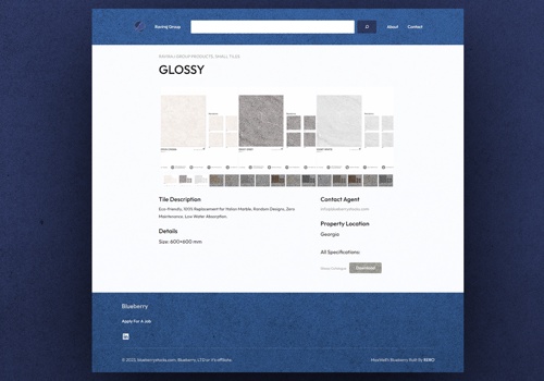 Web Development Package Example: Blueberry Branding and Corporate Website