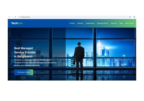 Web Design Package Example: Techbee Solutions- Website Design and Development