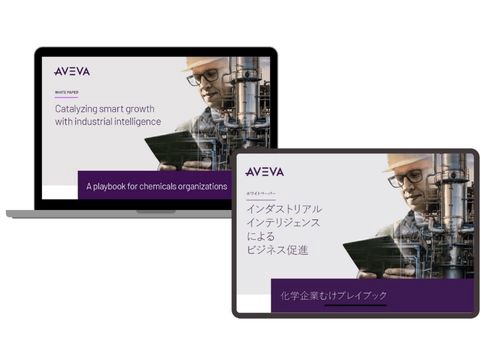 Translation Package Example: Case Study: AVEVA Singapore