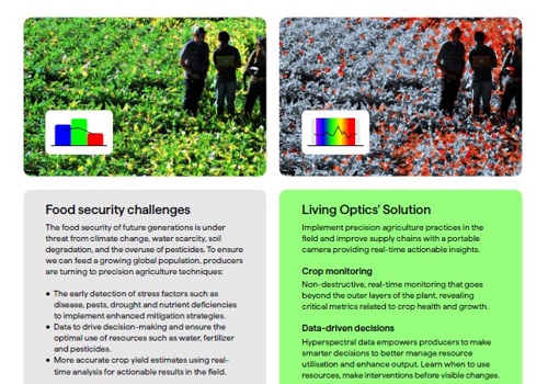 Branding Package Example: CMO as a Service-full scale from strategy - assets