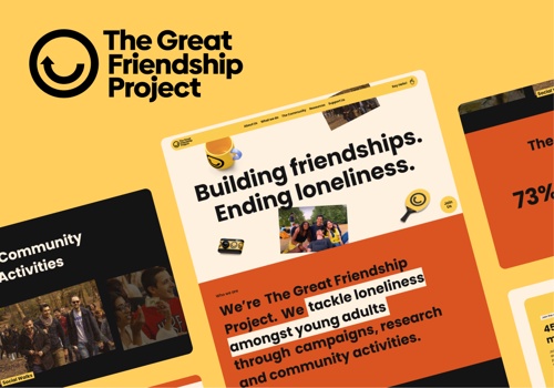 Web Design Package Example: The Great Friendship Project