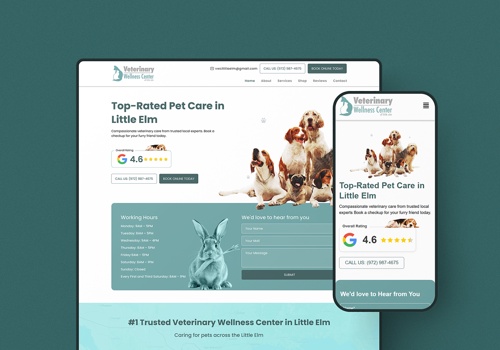 Pay Per Click Package Example: Veterinary Wellness Center - Google Ads