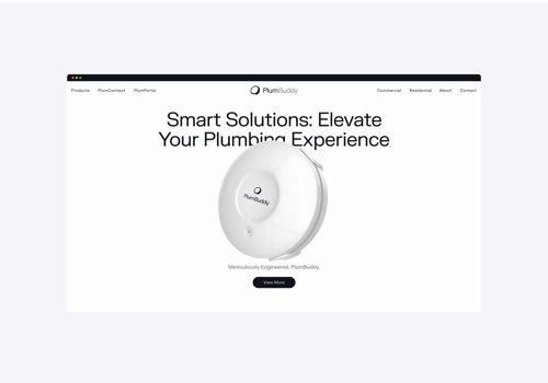 Web Design Package Example: PlumBuddy Industrial Branding & Website