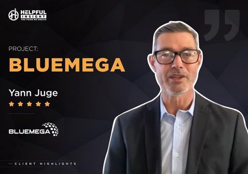 Web Design Package Example: BlueMega: Document Management Platform