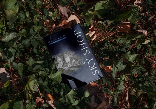 Branding Package Example: Helen Valery | Brochure cover design