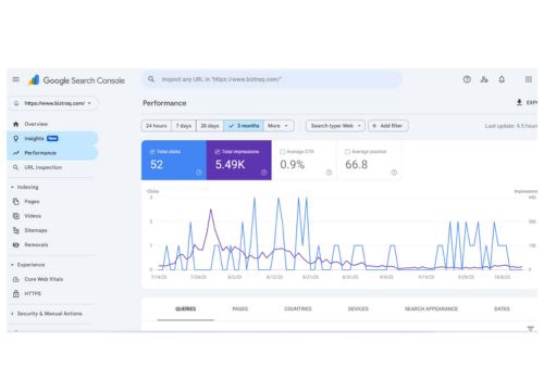 Search Engine Optimization Package Example: Super Growth & Signs up of BizTRAQ Through SEO