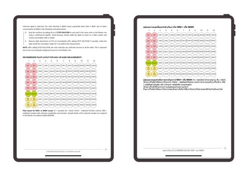 Translation Package Example: Case Study: NADMED