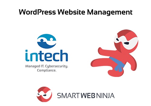 Web Design Package Example: Website Build and Ongoing Website Maintenance