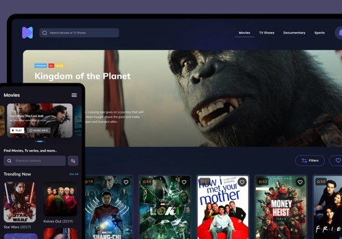 Custom Software Development Package Example: PROOF OF CONCEPT (POC) FOR A MEDIA PLATFORM