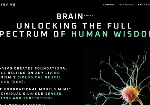 Web Development Package Example: Neurotechnology and Brain Activity Digitalisation