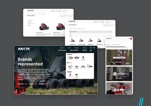 Web Design Package Example: Haitek - Website development and maintenance