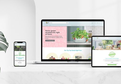 Digital Strategy Package Example: Buzzy Seeds