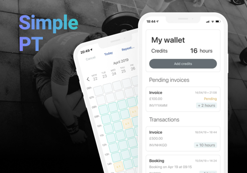 UX/UI Design Package Example: Simple PT App
