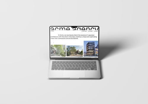 Web Development Package Example: acme.agency - UI/UX design