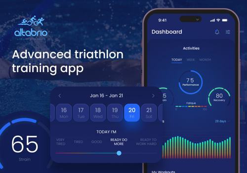 UX/UI Design Package Example: AltaBrio