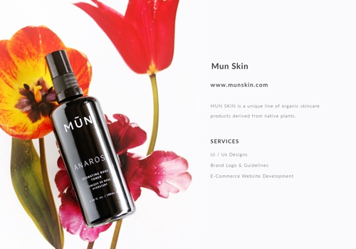 E-Commerce Development Package Example: Mun Skin