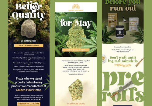 Email Marketing Package Example: Email Design: Wellness / Hemp Brand