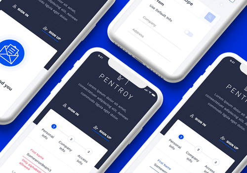 Custom Software Development Package Example: Pentroy - Entertainment Web SaaS Platform