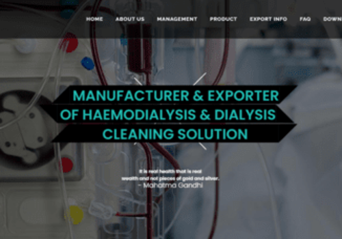 Web Development Package Example: Website Development for Haemodialysis Manufacturer
