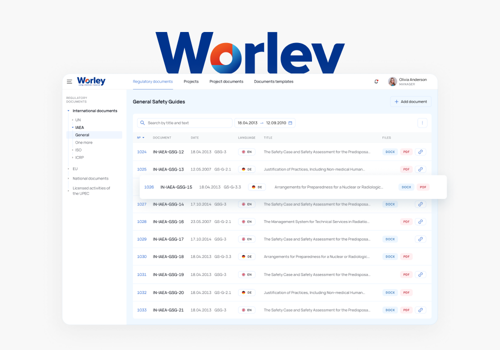 IT Strategy Consulting Package Example: Web App for Documentation Audits