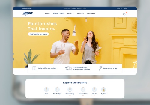 Digital Strategy Package Example: Enjoy Zibra