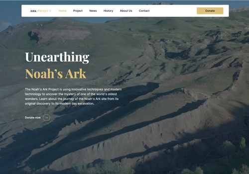 Web Design Package Example: UI/UX design and WordPress development