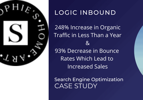 Search Engine Optimization Package Example: ECOMMERCE SEARCH ENGINE OPTIMIZATION CASE STUDY