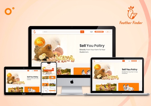 Graphic Design Package Example: Feather Finder