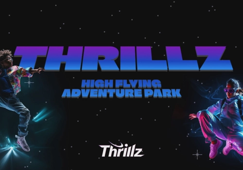 Web Design Package Example: Thrillz High Flying Adventure Park Website