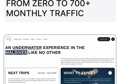 Search Engine Optimization Package Example: Website and SEO for Maldives travel agency