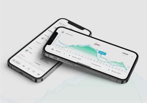 Mobile App Development Package Example: Smart metering app provides real-time utility mana