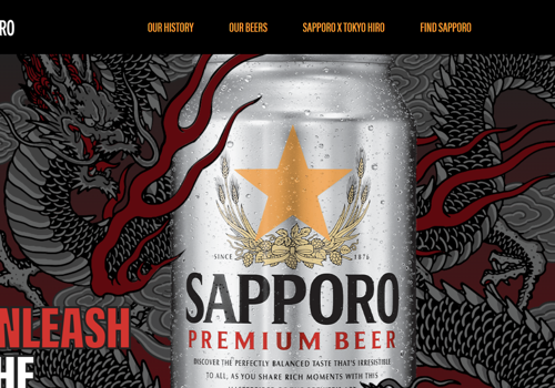 Web Design Package Example: Sapporo Web Development