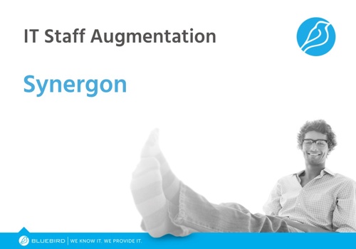 IT Staff Augmentation Package Example: Synergon Case Study ($4.2 million) - IT StaffAug