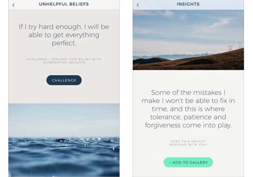 Mobile App Development Package Example: Thinkladder