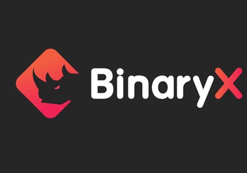 Public Relations Package Example: Case Study: RH!noX NFT - (BinaryX)