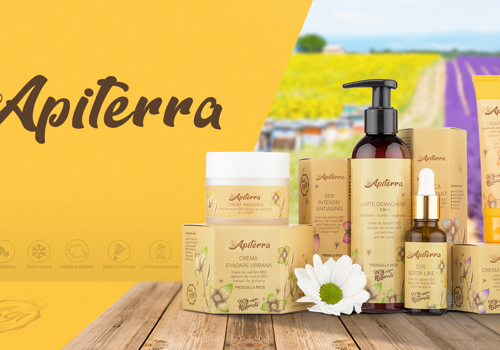 Branding Package Example: Apiterra branding & packaging