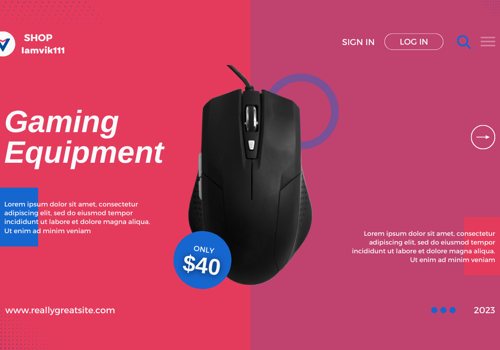 Web Design Package Example: E- Commerce Website Design & Development