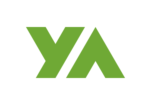 Web Design Package Example: Young Africa: Non-Profit website