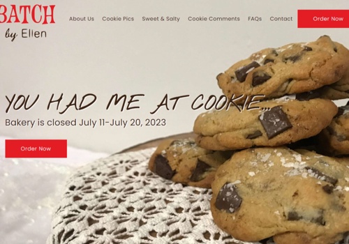 Web Design Package Example: Ecom Website