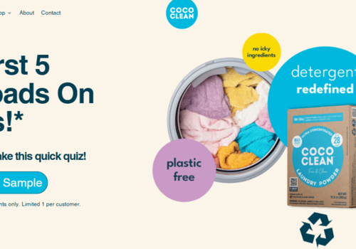 Search Engine Optimization Package Example: Coco Clean